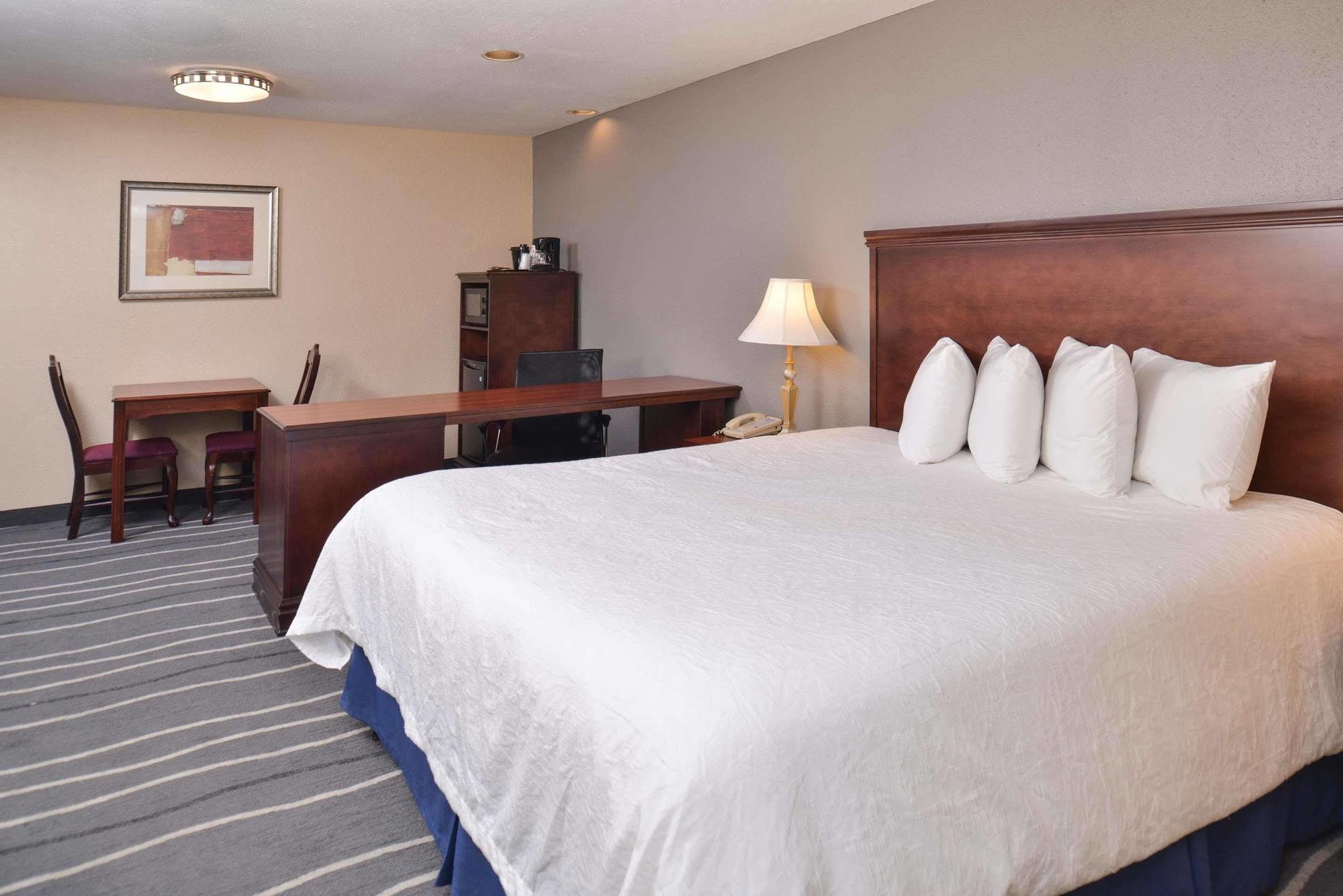 Irving Inn & Suites At Dfw Airport エクステリア 写真